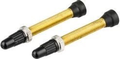 Wtb Valve Tubeless TCS Presta En Laiton