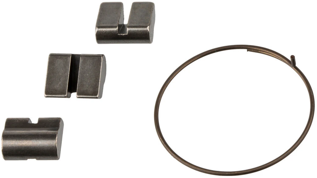 Cliquets Pour Moyeux Black Flag Expert / Charger Expert / ADD / Demon 1 Cliquets Pour Moyeux Black Flag Expert / Charger Expert / ADD / Demon