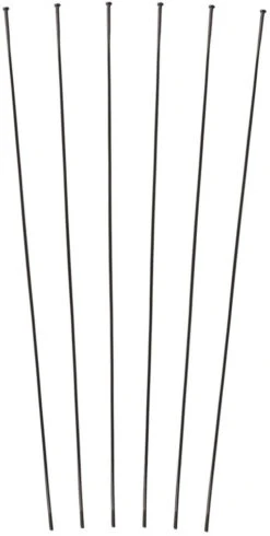 Dt-swiss Set De Rayons Pour PR 1600 DICUT® 21