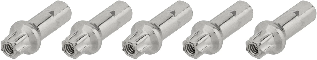 Dt-swiss Écrous En Laiton Pro Lock® Squorx Pro Head® 2,0 Mm - 5 Pièces 1 Dt-swiss Écrous En Laiton Pro Lock® Squorx Pro Head® 2,0 Mm - 5 Pièces