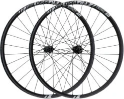 Dt-swiss Set De Roues FR 1950 CLASSIC 30 Boost Disc Center Lock 29"