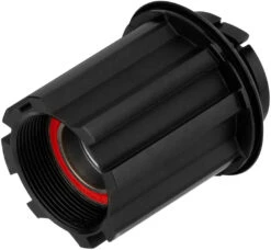 Dt-swiss Kit De Conversion Corps De Roue Libre Campagnolo Pawl System® 11/12vit