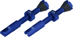Set De 2 Valves Tubeless Chris King Edition MK2 -Magasin De Pièces De Vélo 421867