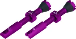 Set De 2 Valves Tubeless Chris King Edition MK2 -Magasin De Pièces De Vélo 421872