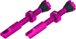 Set De 2 Valves Tubeless Chris King Edition MK2 -Magasin De Pièces De Vélo 421876